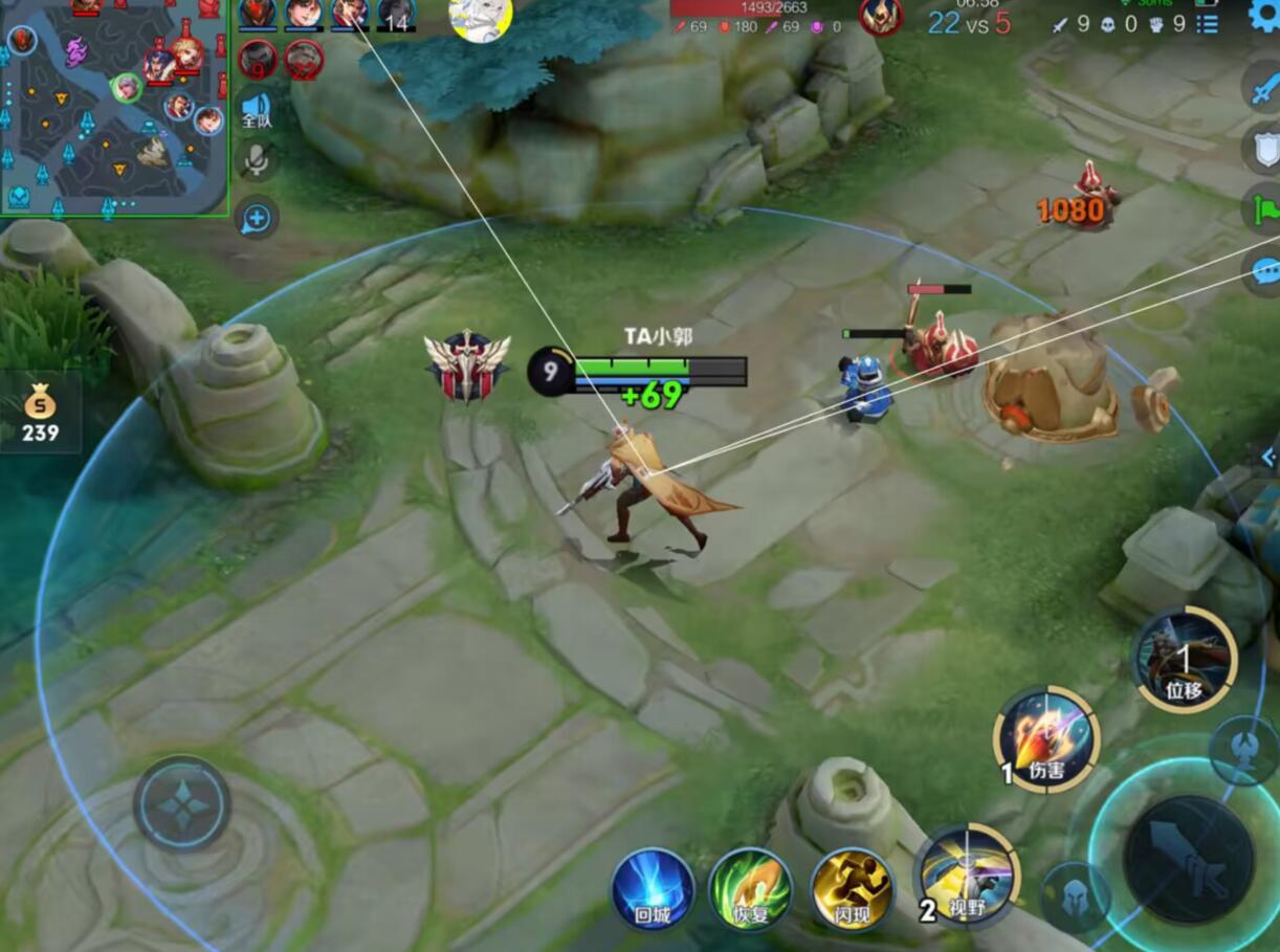 王者荣耀琦玉外挂科技